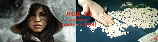 PSILOCYBIN Алексин