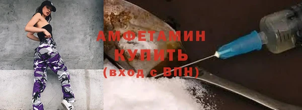 прущие грибы Протвино