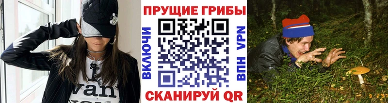 Псилоцибиновые грибы Psilocybine cubensis купить цена Жуковка