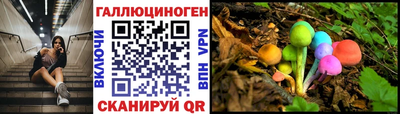 Галлюциногенные грибы Cubensis Жуковка